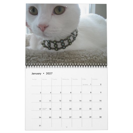 Jupiter en Kona's Kat Calender 2011-2012 Kalender (Jan 2027)