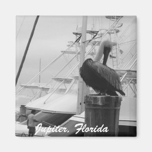 Jupiter, Florida Boats & Pelican foto Magnet Magneet