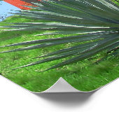 Jupiter Inlet Lighthouse, Florida Poster (Hoek)