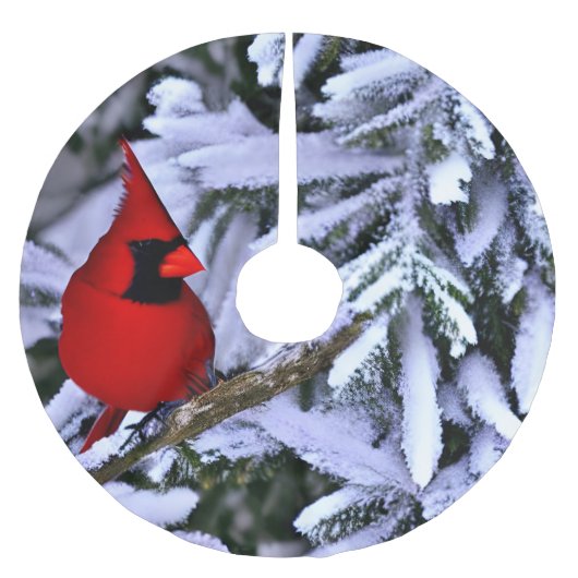 Jupon De Sapin En Polyester Brossé Cardinal rouge d'hiver (Devant)