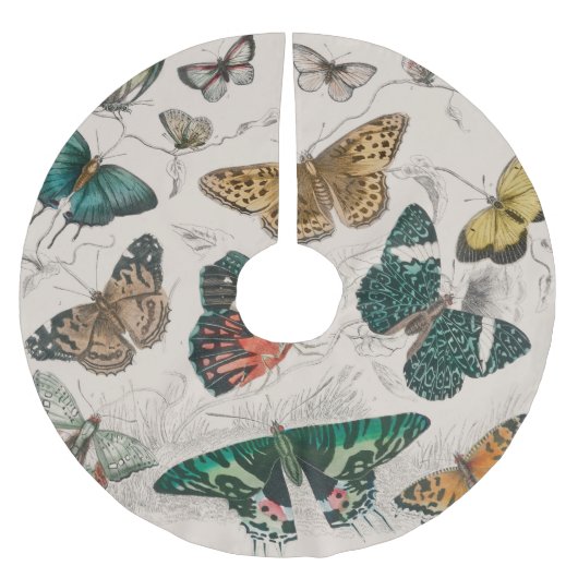 Jupon De Sapin En Polyester Brossé Illustration de papillon antique : 1820 Orfèvre (Devant)