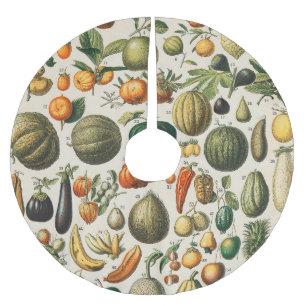 Jupon De Sapin En Polyester Brossé Illustration scientifique végétale des fruits