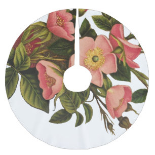 Jupon De Sapin En Polyester Brossé Roses Anciennes Jolies Roses Botaniques Roses