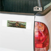 Jurassic Dinosaurs Bumpersticker (Op Truck)