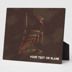 Jurassic Fossil Fotoplaat