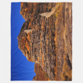 JURASSIC ROCK FLEECE DEKEN (Voorkant)