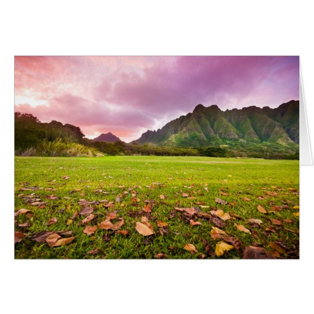 Jurassic Sunset (Devant horizontal)