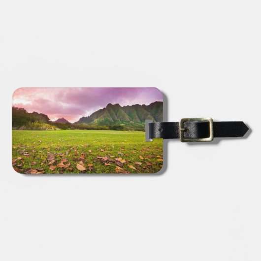 Jurassic Sunset Bagagelabel (Voorkant horizontaal)