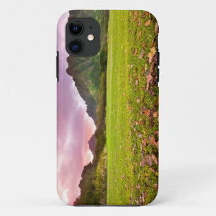 Jurassic Sunset iPhone 11 Hoesje