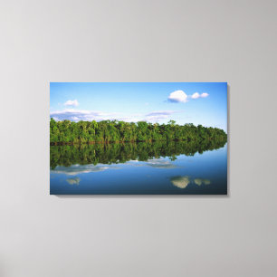 Juruena, Brazilië. Beboste oever weerspiegeld Canvas Afdruk