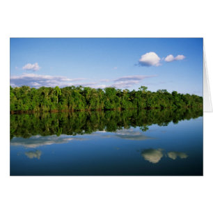 Juruena, Brésil. Bord forestier de rivière reflété