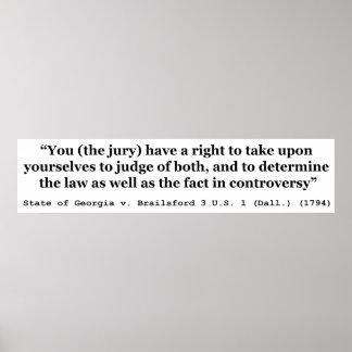 Jury Nullification State of Georgia vs Brailsford Poster