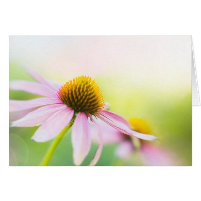 Jusqu'à la découverte de rayons de soleil vous (Devant horizontal)