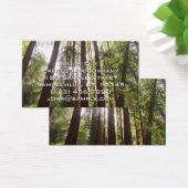 Jusqu'aux séquoias du matin (Bureau)