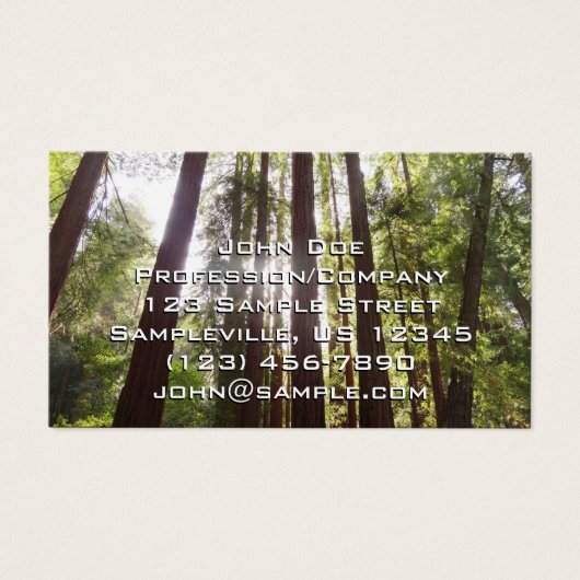 Jusqu'aux séquoias du matin (Devant)