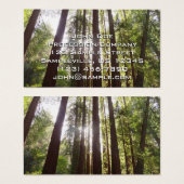 Jusqu'aux Séquoias le Matin (Devant & derrière)