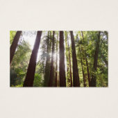 Jusqu'aux Séquoias le Matin (Dos)