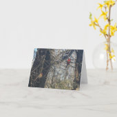 Just Chillin' - Carte de Note des Cardinals (Fleur jaune)
