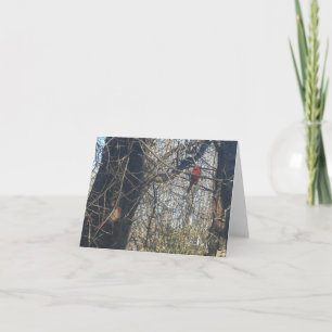 Just Chillin' - Carte de Note des Cardinals