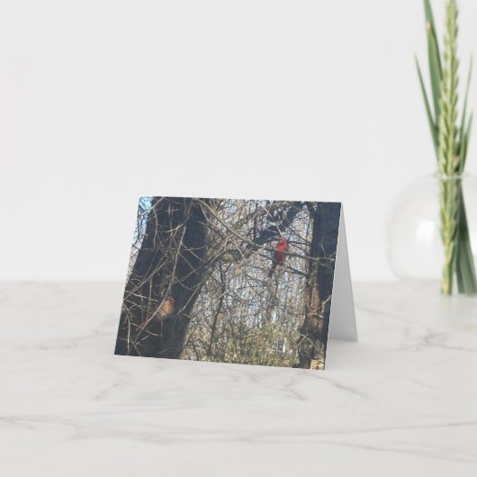 Just Chillin' - Carte de Note des Cardinals (Devant)
