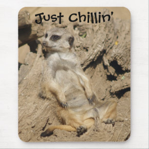 Just Chillin' Meerkat Foto Muismat