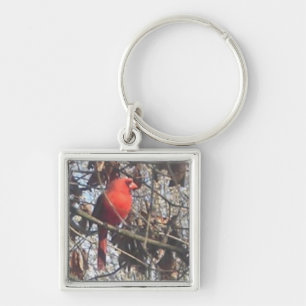Just Chillin' - Porte-clés Cardinals