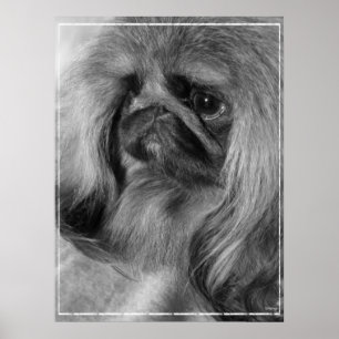 Just Jeroen Poster