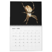 Just Spiders Calendar, 2020 Kalender (Mar 2026)
