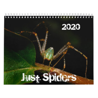 Just Spiders Calendar, 2020 Kalender