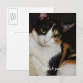 Juste à traîner par-ci par-là Carte postale de rem (Devant / Derrière)