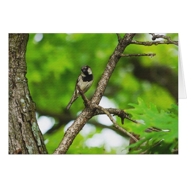 Juste Assis Autour (Devant Horizontal)