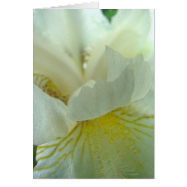 juste de tout (Voorkant)