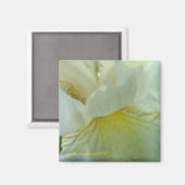 Juste de Tout Magneet (Voorkant / Achterkant)