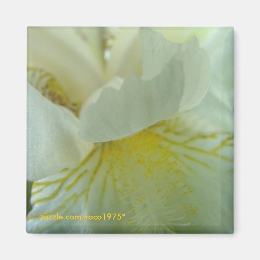 Juste de Tout Magneet (Voorkant)