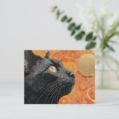 Juste dire Hello Cat carte postale (Debout devant)