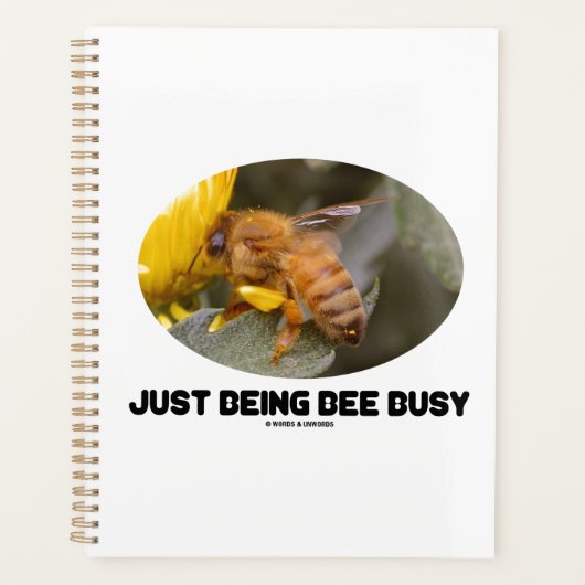 Juste Être Occupé (Abee Sur Fleur Jaune) (Devant)