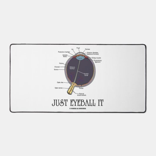 Juste Eyeball It Human Eye Anatomie Geek Conseils (Recto)
