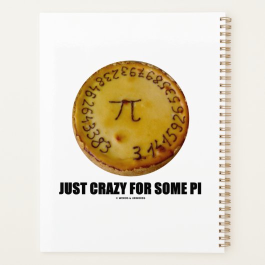 Juste Fou Pour Certains Pi (Humour Pi / Pie Math) (Dos)