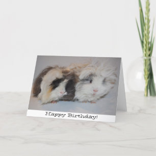 Juste la carte d'anniversaire de nous deux