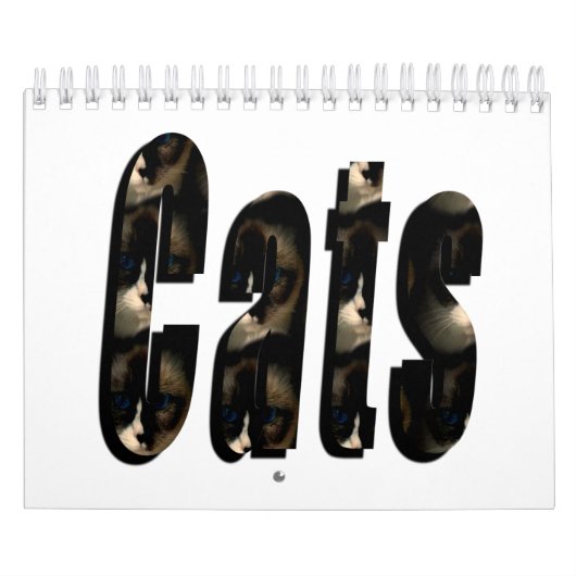 Juste Pour L'Amour Des Chats, Calendrier (Protection)