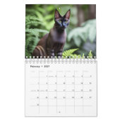 Juste Pour L'Amour Des Chats, Calendrier (Feb 2027)