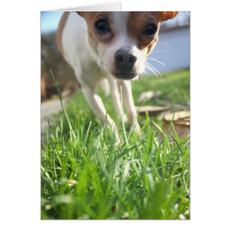 Juste pour vous enregistrer pour dire bonjour !