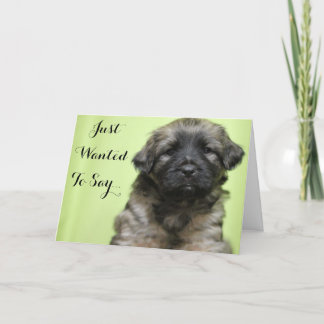 Juste Recherché pour dire la carte de chiot de