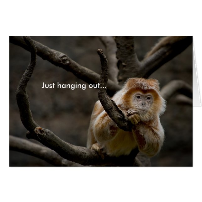 Juste sortir... (Devant horizontal)