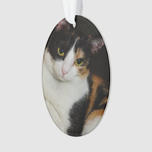 Juste traînant (devant)