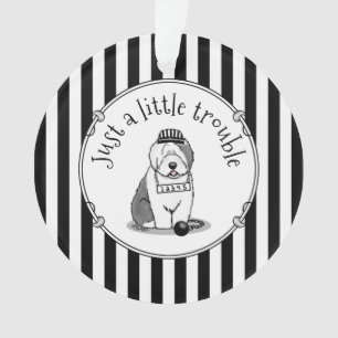 Juste un petit problème Vieux anglais Sheepdog Gre