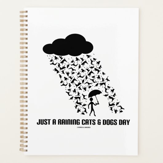 Juste Une Pluie Chats Et Chiens Jour Météorologie (Devant)