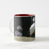 Juste une question de tasse de macareux (Devant gauche)