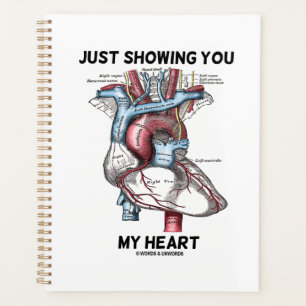 Juste Vous Montrer Mon Coeur Anatomique Coeur