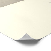 Justice Ducks Poster (Hoek)